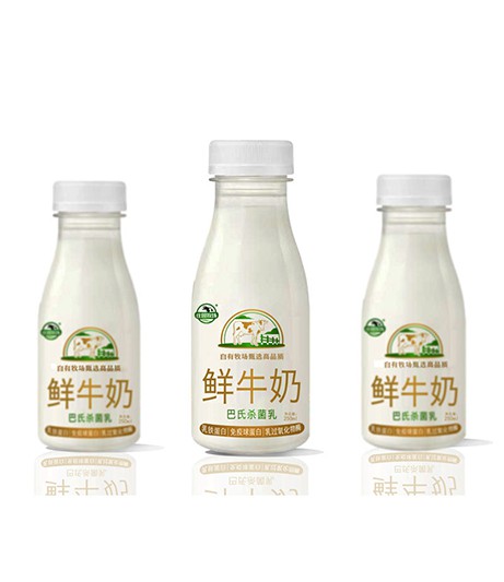 PE瓶鲜奶（250ML）