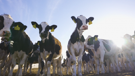 40001百老汇牧场航拍